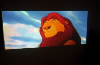 LD PAL LE ROI LION