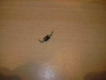 DSCN0290.JPG
