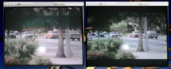 Capture Terminator 1.jpg