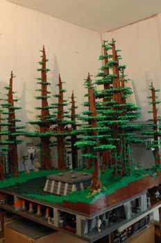 dsc_0136.jpg