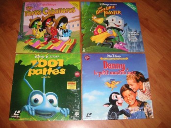688636CaballerosDany1001pattes.jpg