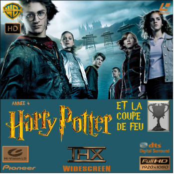 Harry Potter 4 VF.png