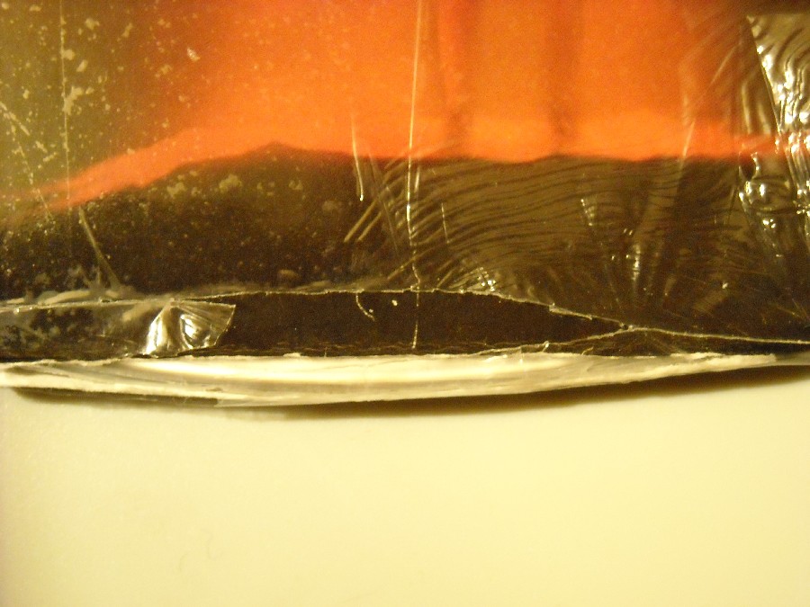 DSCN0245.JPG