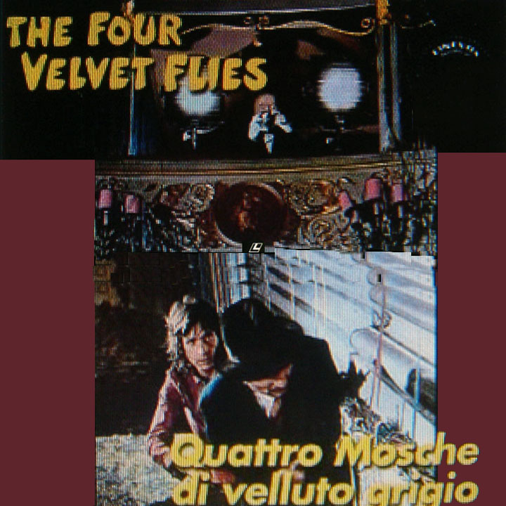 4 mosche di velluto grigio.jpg