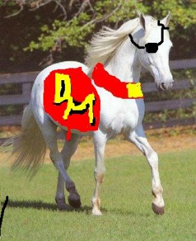 danger_horse.JPG